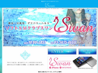 ソフトＳＭクラブスワン